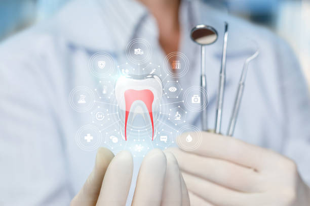 Best Teeth Whitening  in Fuller Heights, FL